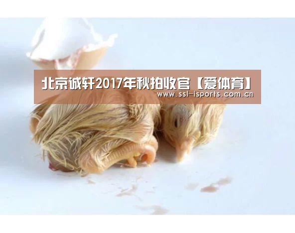 北京诚轩2017年秋拍收官【爱体育】(图1) 爱体育